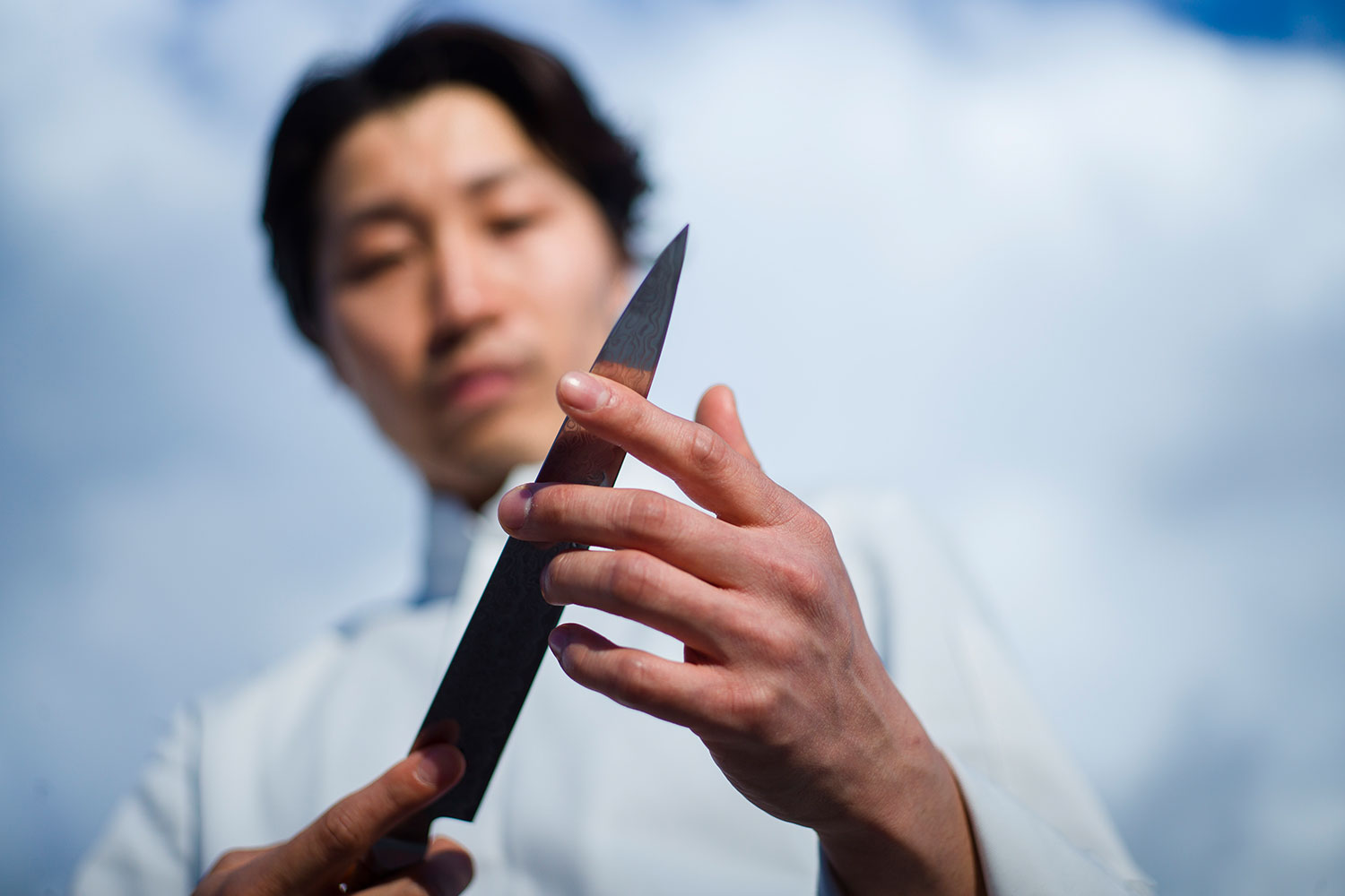 The Silent Dialogue Between Chef Knife Ingredient